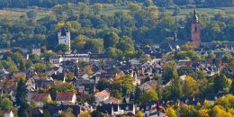 Blick von den Weinbergen auf die Eltviller Kernstadt mit Kirchturm und Kurfürstlicher Burg.