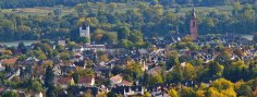 Blick von den Weinbergen auf die Eltviller Kernstadt mit Kirchturm und Kurfürstlicher Burg. Blick von den Weinbergen auf die Eltviller Kernstadt mit Kirchturm und Kurfürstlicher Burg.