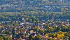 Blick von den Weinbergen auf die Eltviller Kernstadt mit Kirchturm und Kurfürstlicher Burg. Blick von den Weinbergen auf die Eltviller Kernstadt mit Kirchturm und Kurfürstlicher Burg.