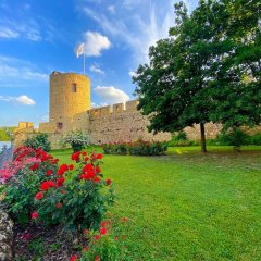 Der Sebastiansturm mit Resten der hostorischen Stadtmauer, davor liegt eine grüne Wiese und rote Rosen blühen.