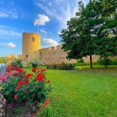 Der Sebastianturm mit der historischen Stadtmauer in Eltville. Der Sebastiansturm mit Resten der hostorischen Stadtmauer, davor liegt eine grüne Wiese und rote Rosen blühen.