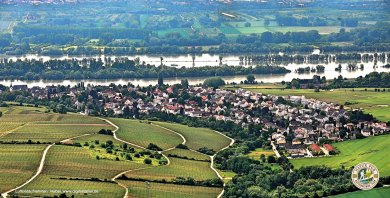 Luftaufnahme mit Blick auf Hattenheim.