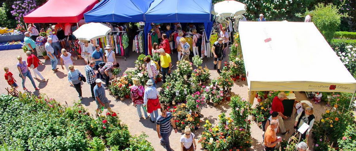 Gäste besuchen aufgebaute Stände im Rosengarten.