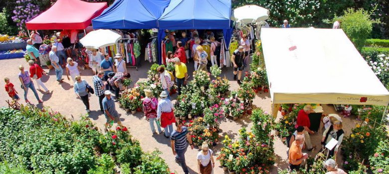 Gäste besuchen aufgebaute Stände im Rosengarten.