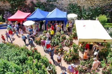 Gäste besuchen aufgebaute Stände im Rosengarten.