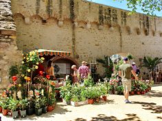 Innerhalb der Kurfürstlichen Burgmauern gibt es verschiedene Attraktionen. An einem Pflanzenstand informieren sich Besucher.