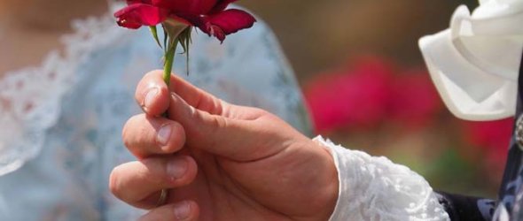 Hand mit einer roten Rose