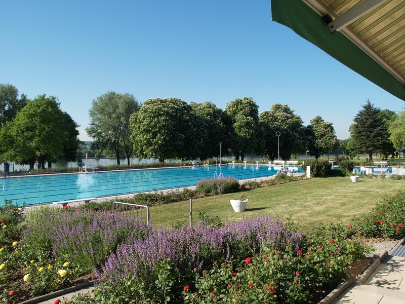 Auch für Bienen und Insekten hat das Rosenbad schöne Plätzchen zu bieten. Blick auf das Schwimmerbecken, im Vordergrund blüht Lavendel.