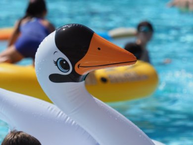 Symbolbild: Aufblasbarer Badeschwan.
