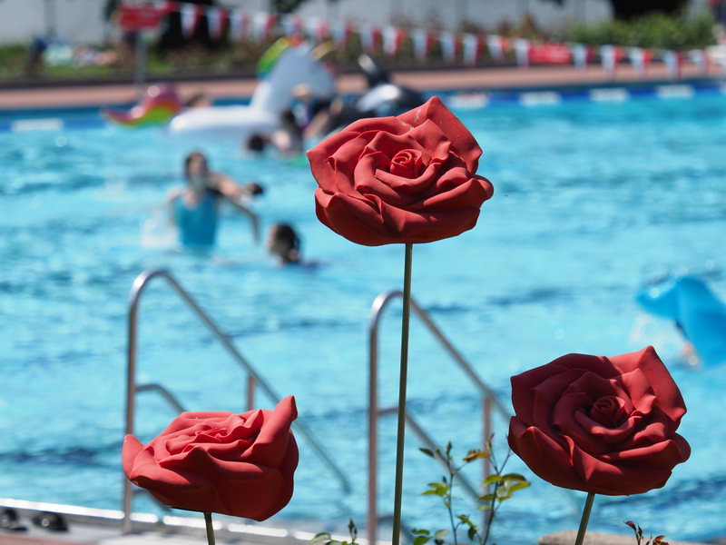 Das Rosenbad hat seinen Namen nicht von ungefähr. Drei rote Rosen aus Metall, im Hintergrund ist das Becken zu sehen.