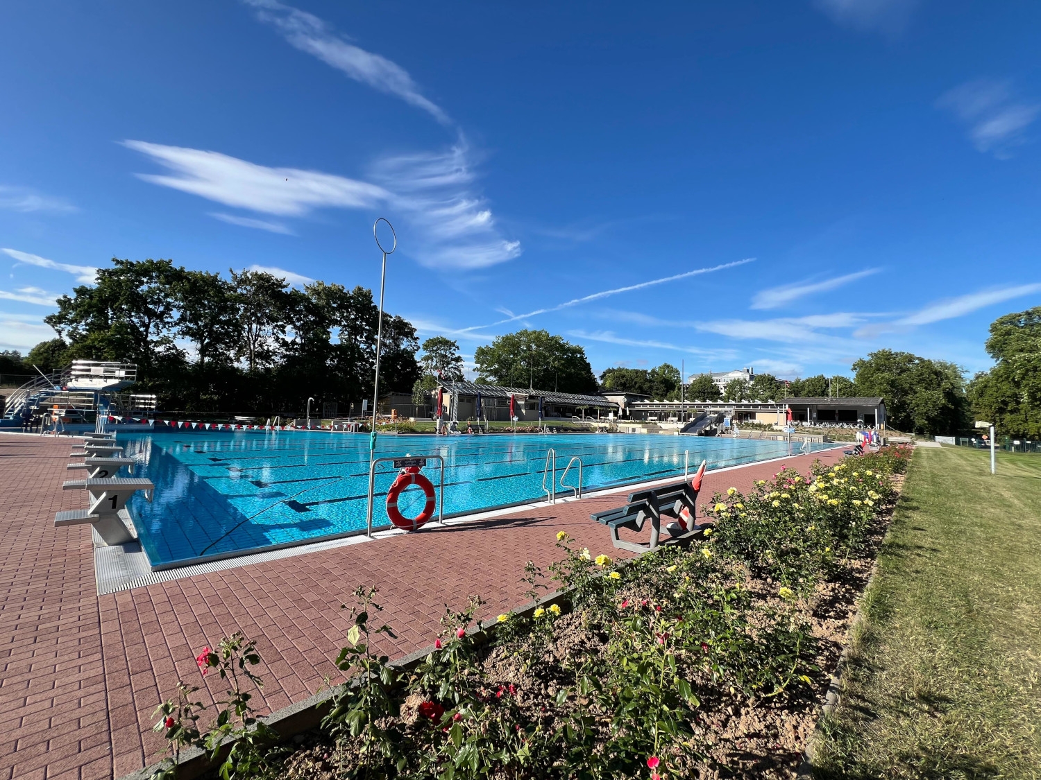 Blick auf das Becken im Eltviller Freibad