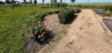 Rosengarten auf dem Friedhof in Hattenheim