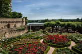 Der Amtsgarten erstrahlt im Blütenglanz. Die blühenden Rosenbeete im "Amtsgarten" mit Blick Richtung Rhein, der leicht hinter den Burgmauern zu erkennen ist.