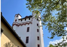 Der Turm der Burg aus der Froschperspektive, rechts sieht man die Blätter eines Baumes.