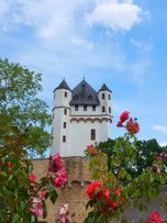 Rosafarbene Rosen blühen im Vordergrund, dahinter ist der Burgturm zu sehen.