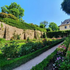 Rasenfläche innerhalb der Burgmauern, die mit Rosenstöcken und Blumen umrandet ist. Außerdem führt ein kleiner Weg um die Fläche herum.
