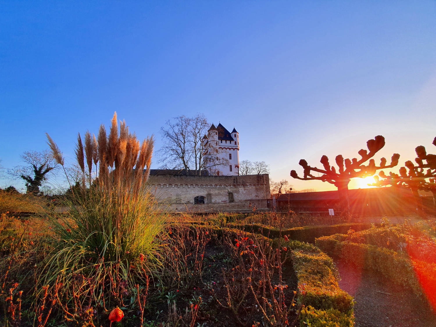 Der Burg der Kurfürstlichen Burg erstrahlt im Sonnenlicht, im Vordergrund sieht man den Burggarten.