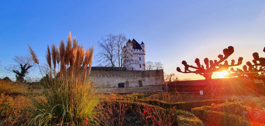 Der Burg der Kurfürstlichen Burg erstrahlt im Sonnenlicht, im Vordergrund sieht man den Burggarten.