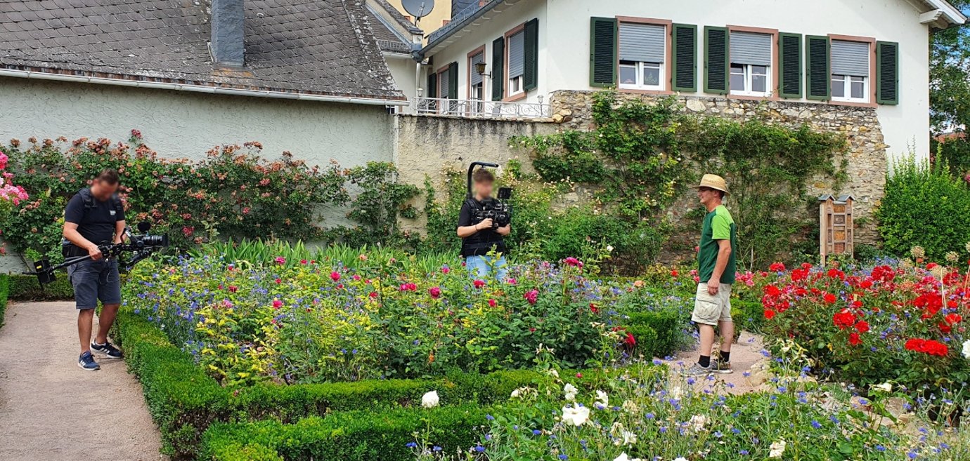 „Rheingau Geflüster“ Eltviller Geschichten digital entdecken