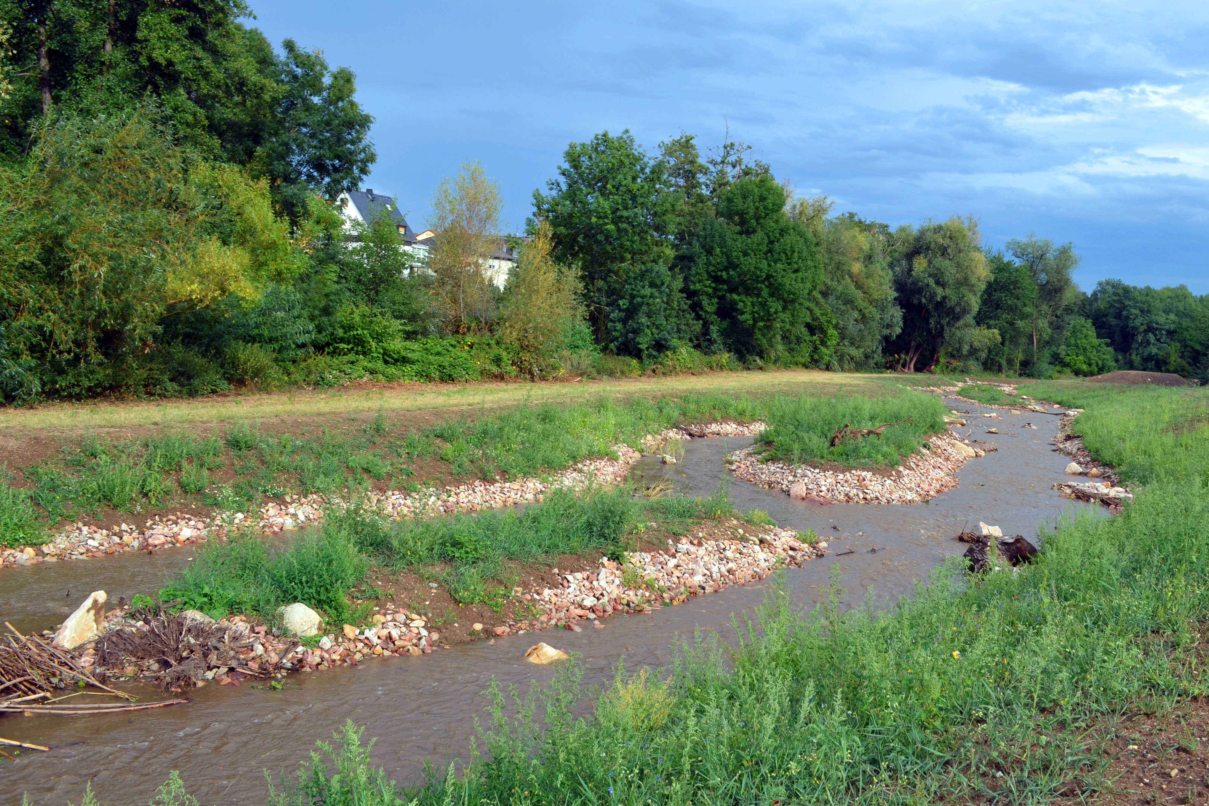 Zusatzgerinne der Walluf in Martinsthal.