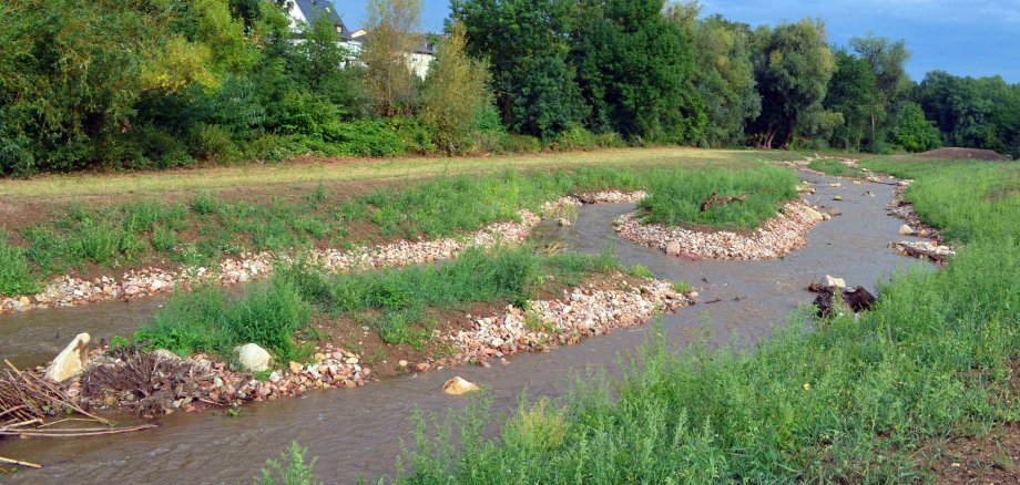 Zusatzgerinne der Walluf in Martinsthal.