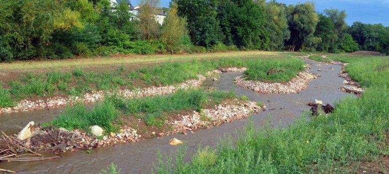 Zusatzgerinne der Walluf in Martinsthal.