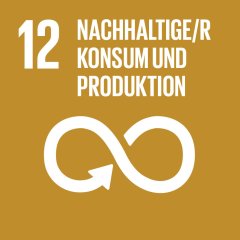 Orangene Kachel mit Aufschrift "12  Nachhaltige/r Konsum und Produktion" und grafische Abbildung eines weißen Undendlichkeitszweichens.
