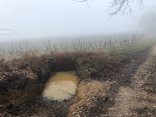 Entlang der bekannten Fließwege wurden kleine Erdtaschen durch Geländemodellierungen angelegt. In diesen Taschen staut sich das Wasser, wird dort gehalten und versickert. Sickergrube auf einem Weinberg bei Eltville.