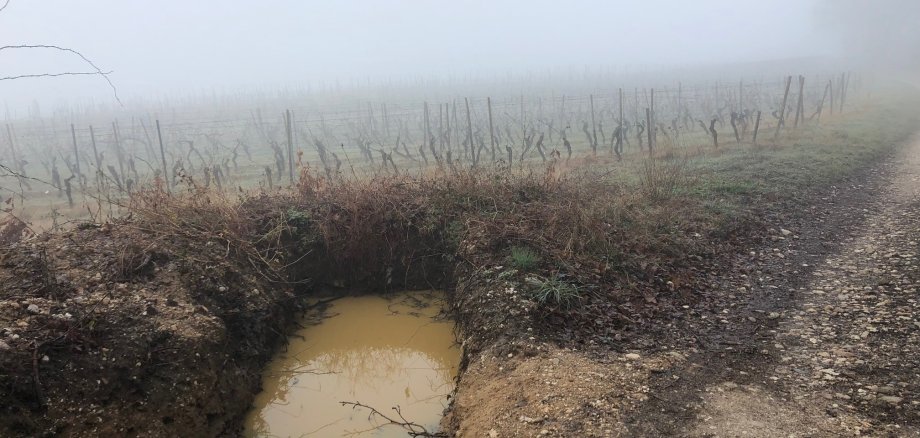Sickergrube auf einem Weinberg bei Eltville.