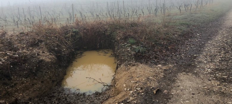 Sickergrube auf einem Weinberg bei Eltville.