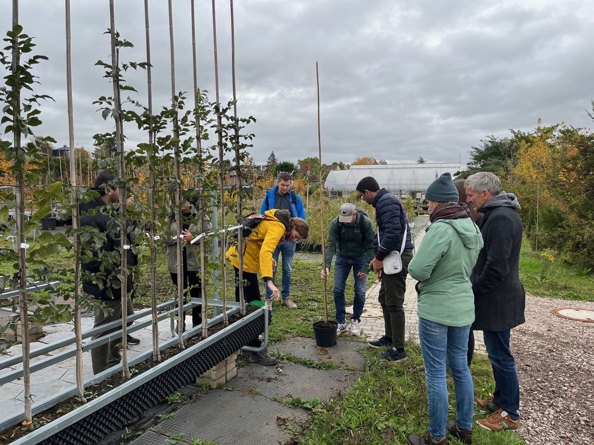 Delegation beim Besuch der Baumschule in Geisenheim