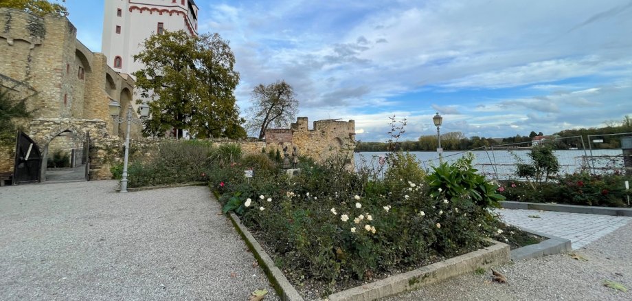 Das Biedermeierbeet vor der Kurfürstlichen Burg am Rheinufer in Eltville vor seiner Erneuerung.