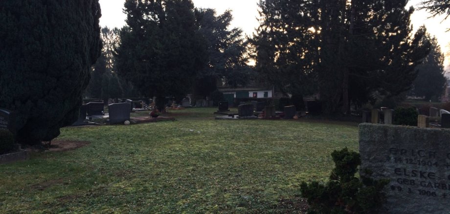 Ein freies Feld auf dem Friedhof in Eltville - hier soll bald ein Rosengrabfeld entstehen.