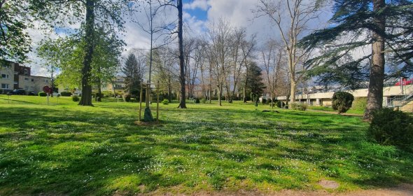 Ein Ausschnitt aus dem Stadtpark: Grüne Wiesen und Bäume sind zu sehen.