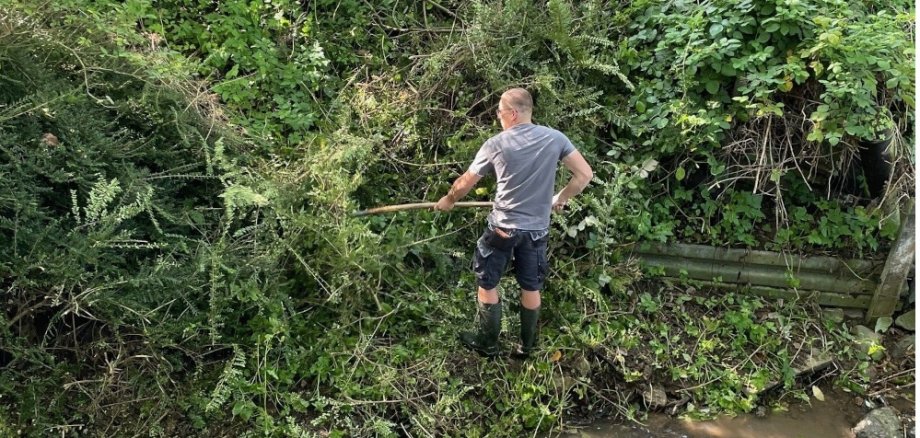 Ein Mitarbeiter der Stadtwerke steht im Leimersbach und befreit diesen von Gestrüpp