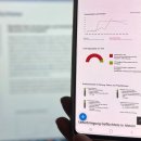 Auf einem Smartphone sieht man eine Grafik zu den aktuellen Flüchtlingszahlen im Rheingau