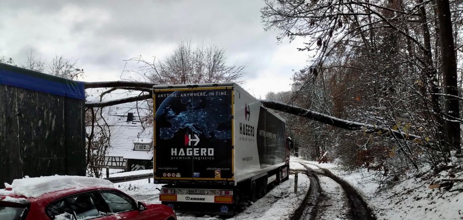 Ein umgestürzter Baum liegt bei schneebedeckter Straße auf einem LKW