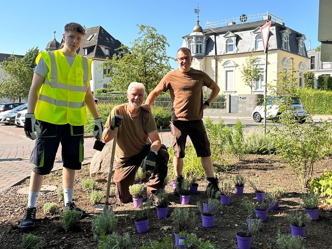 Drei Mitarbeiter der Stadtwerke stehen in einem Beet mit Lavendelstauden zum Einpflanzen