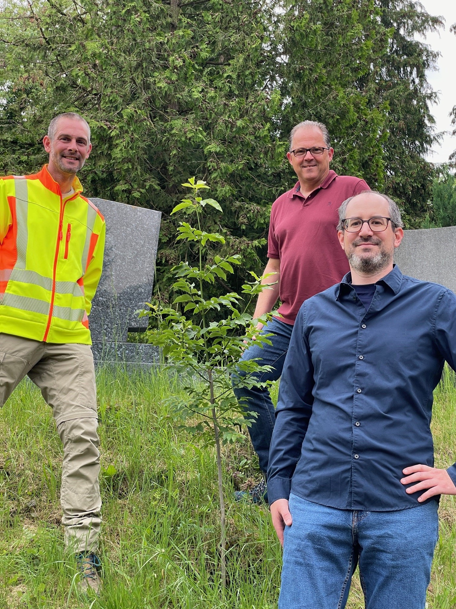 Die beiden frisch zertifizierten Wohnberaterinnen aus dem Senioren- und EhrenamtsBüro Eltville, Andrea Derstroff (zweite von links) und Silke Hebauf, haben ihre Urkunden aus den Händen von Bürgermeister Patrick Kunkel (links) und Erstem Stadtrat Hans-Walter Pnischeck in Empfang genommen.