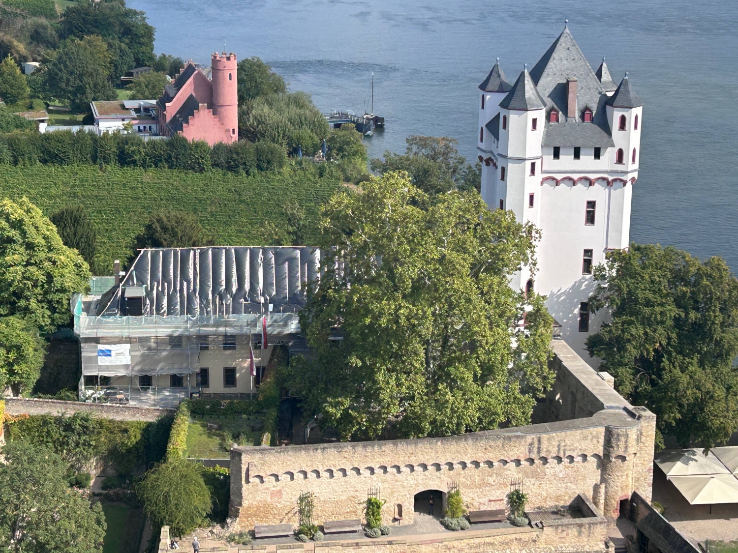 Ein Blick von oben auf die Kurfürstliche Burg, mit Turm und Mauer. Gebäude mit offenem Dach; großer Baum im Burghof. Daneben der Fluss Rhein und Weinberge