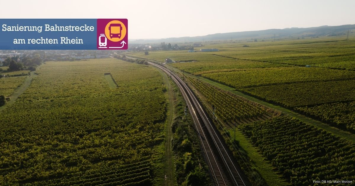 Blick von oben auf Bahnschiene bei Hattenheim, umgeben von Weinbergen