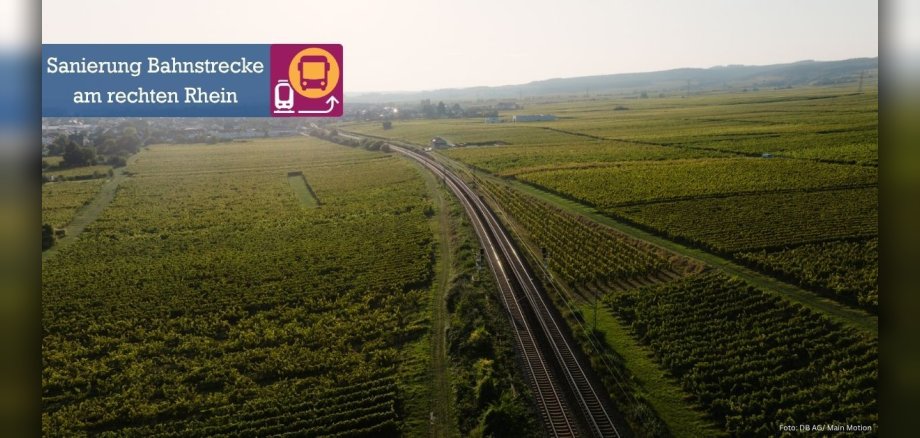 Blick von oben auf Bahnschiene bei Hattenheim, umgeben von Weinbergen