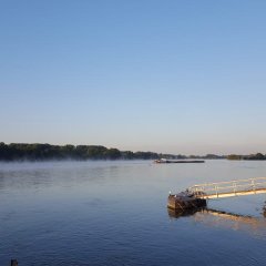 Ein Schiff fährt auf dem Rhein, auf dem leichter Nebel liegt. Neben sieht man den Schiffsanleger.