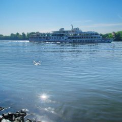 Ein Schiff fährt auf dem Rhein.