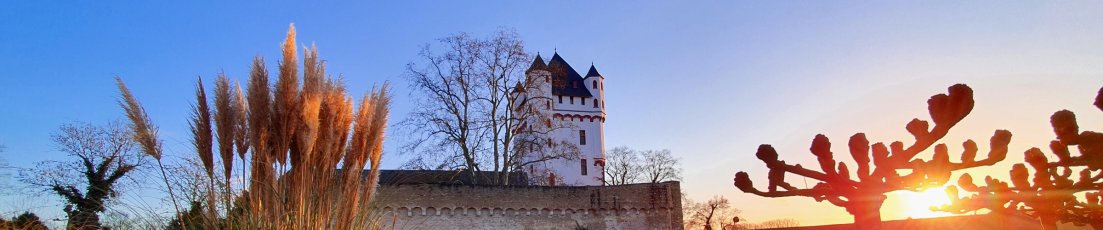 Mittig strahlt der Burgturm, rechts scheint die Sonne hinter einem Platanenbaum hervor und im Vordergrund links sieht man Gräser.