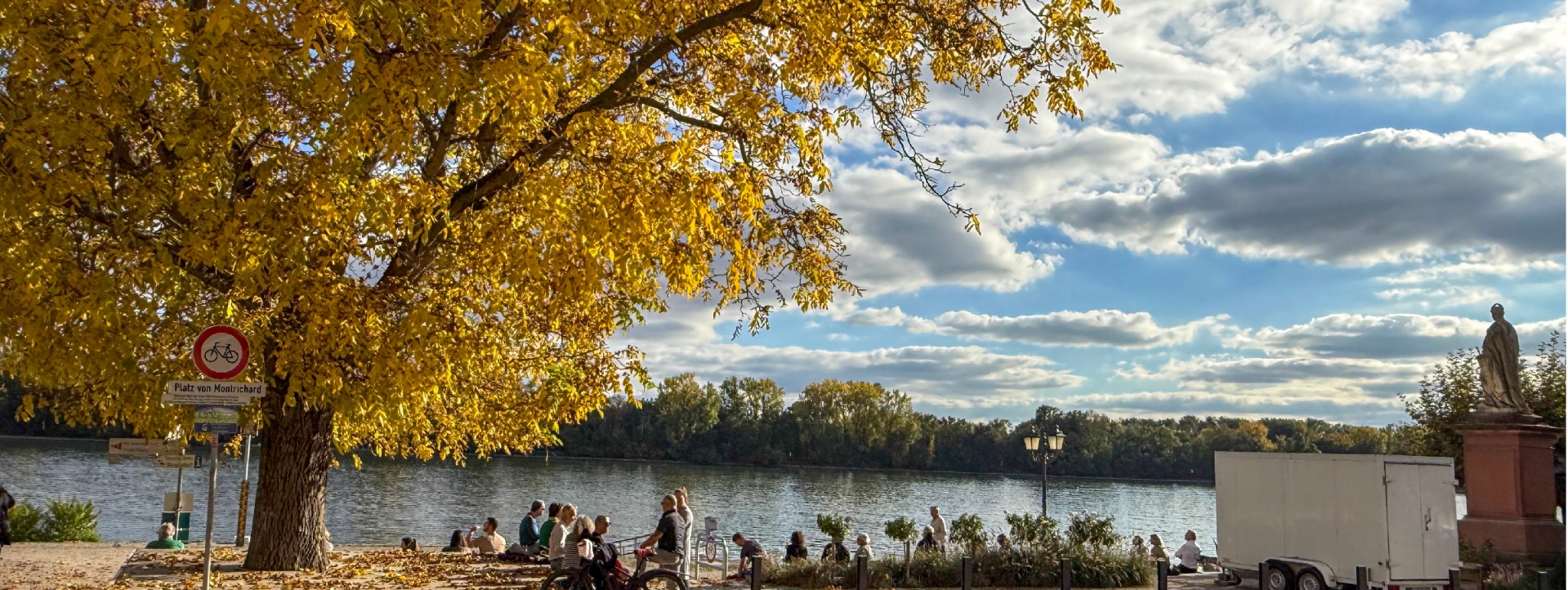 Rheinufer im Herbst mit Baum mit gelben Blättern