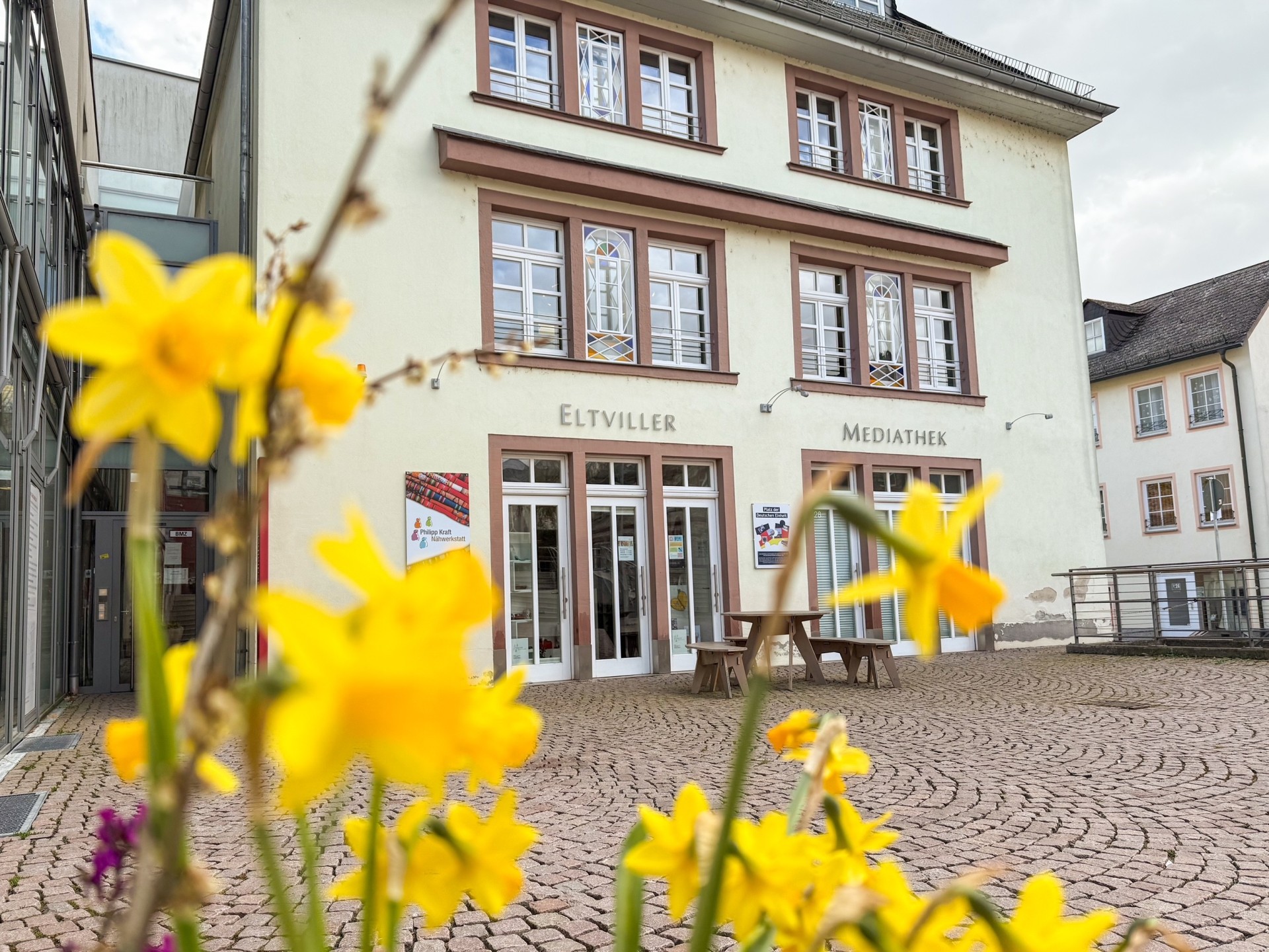 Mediatheksgebäude im Hintergrund, Vordergrund Narzissen