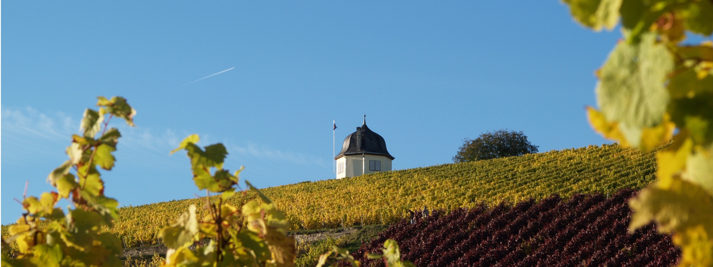 Blick auf die Bubenhäuser Höhe. Blick auf die herbstlichen Weinberge und das Weinbergshäuschen auf der Bubenhäuser Höhe.