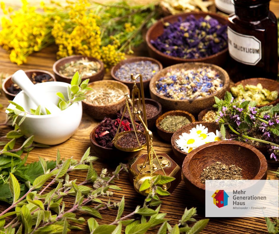 Symbolbild Frühlingskräuter in Holzschalen