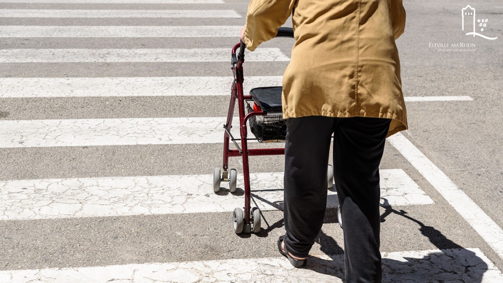 Symbolbild Person von hinten geht mit einem Rollator über einen Zebrastreifen